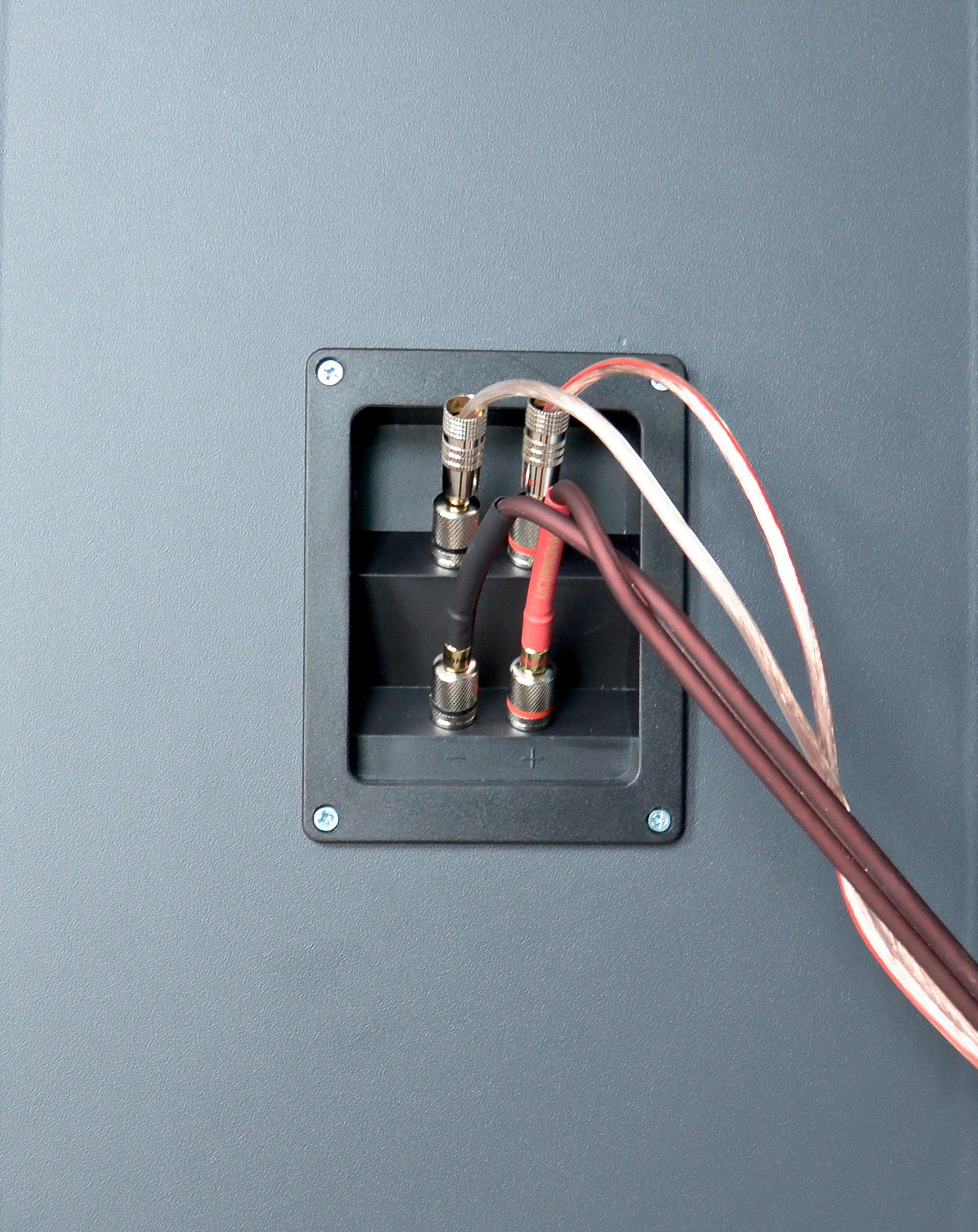 DJP Design Boxen Deluxe Edition 3-4 Wochen Lieferzeit!