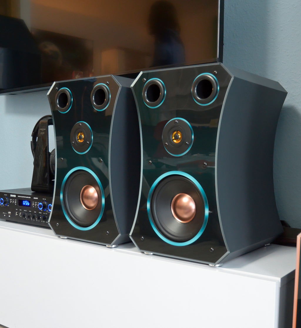 1 Paar HiFi Regal Lautsprecher Oval Small Edition 3-4 Wochen Lieferzeit!