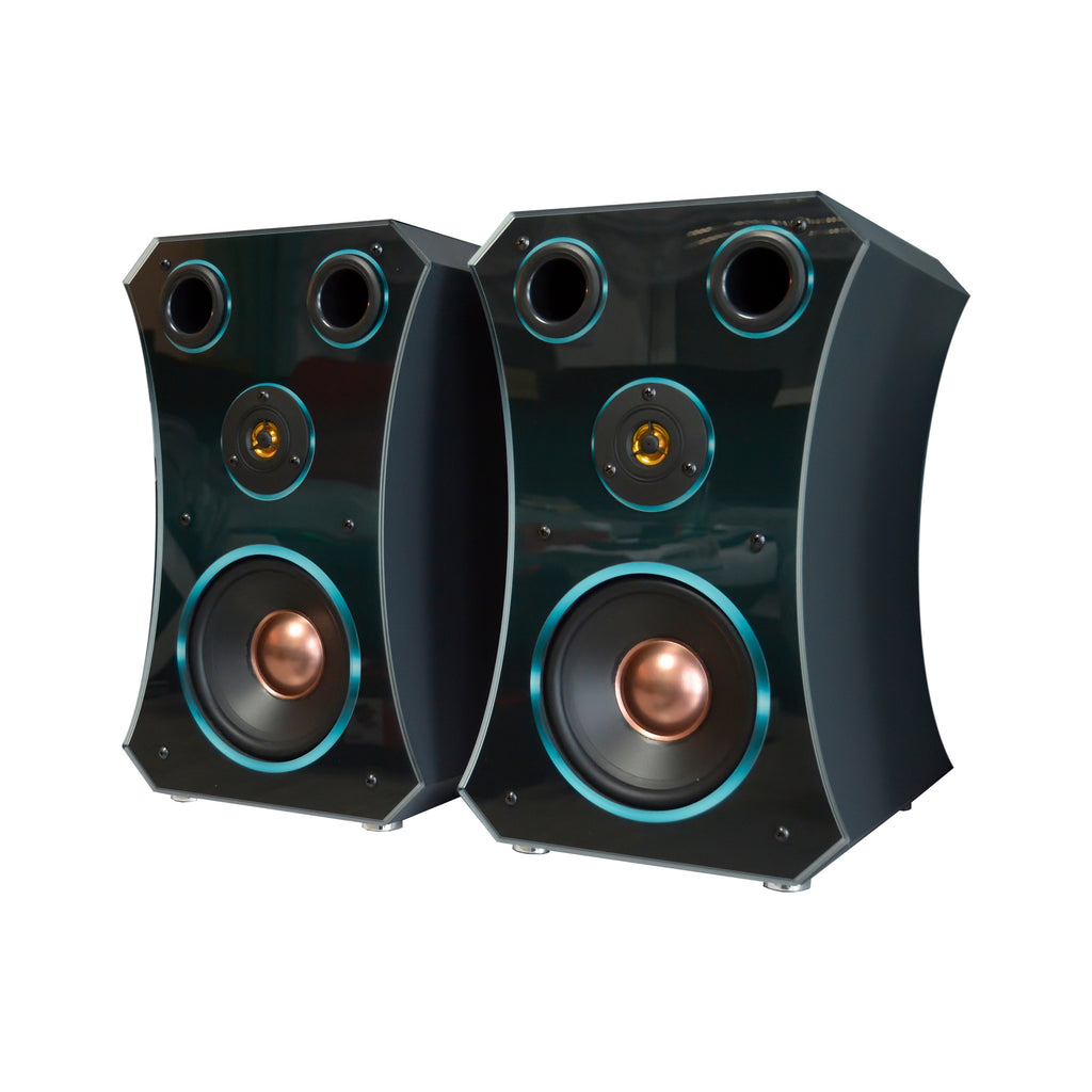 1 Paar HiFi Regal Lautsprecher Oval Small Edition 3-4 Wochen Lieferzeit!