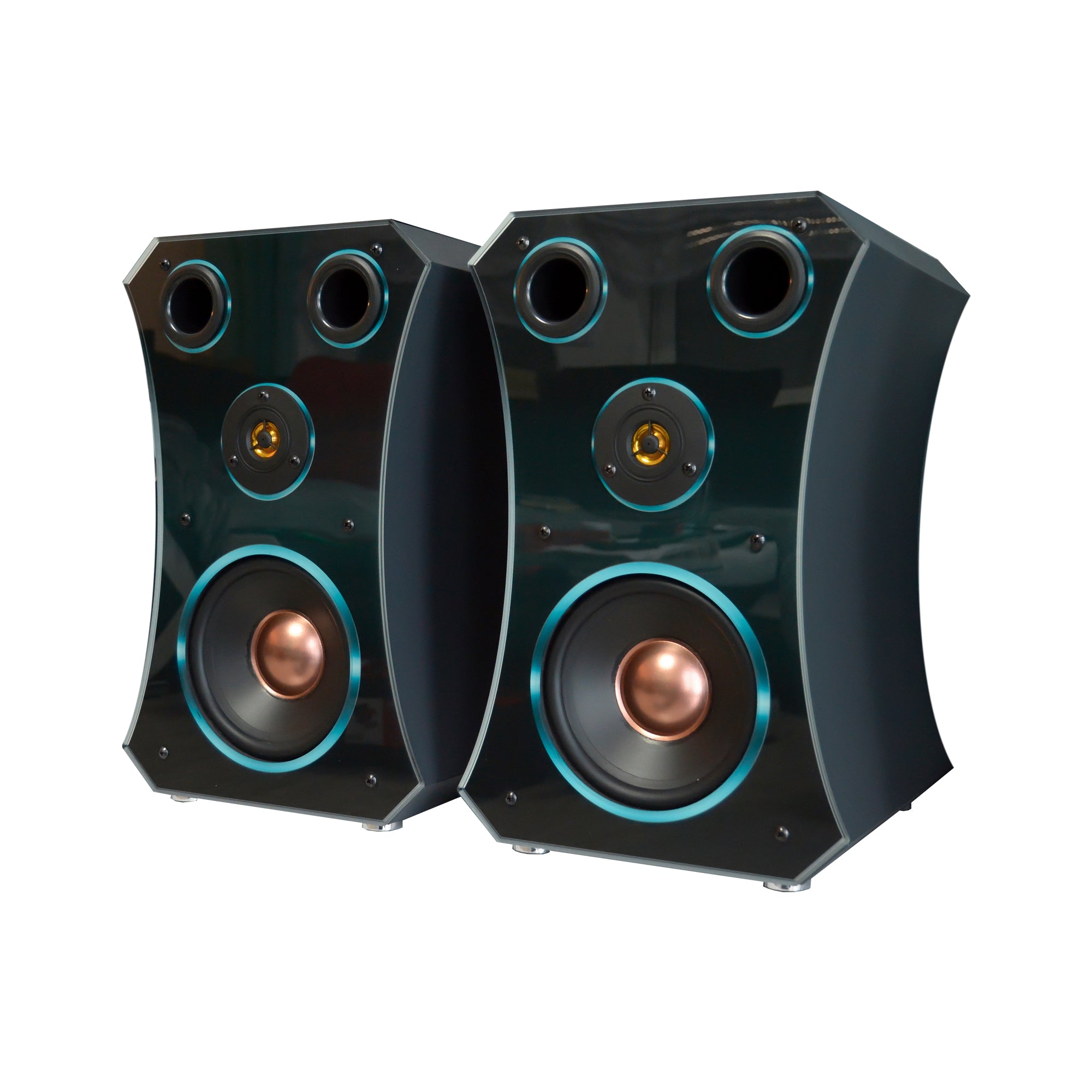 1 Paar HiFi Regal Lautsprecher Oval Small Edition 3-4 Wochen Lieferzeit!
