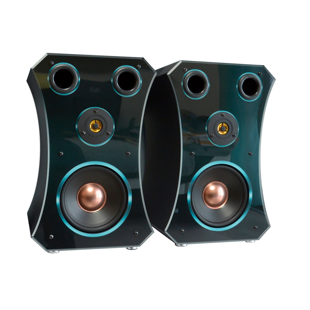 1 Paar HiFi Regal Lautsprecher Oval Small Edition 3-4 Wochen Lieferzeit!